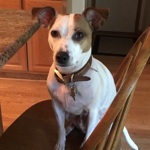 Meet your Posher, Kaelyn